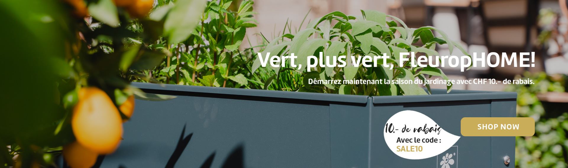 Vert, plus vert, FleuropHOME! Démarrez maintenant la saison du jardinage avec CHF 10.- de rabais.